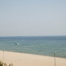 삼척해수욕장 Daum카페