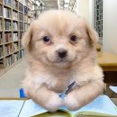 토즈스터디센터중동2독서실 이미지