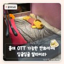 딩굴딩굴 | 홍대 만화카페 가격 | 홍대 데이트 OTT 가능한 만화카페 딩굴딩굴 알타미라 후기