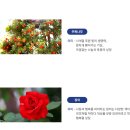 인천아라고등학교 | (일반고) 인천아라고등학교 2025 신입생 입학안내, 학교안내