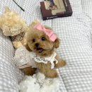 멜로디펍스 이미지