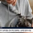 진실목장 이미지