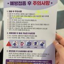 대신건재 | [임신 35주차] 역아 탈출하고싶다, 백일해 접종, 아직까지 건재해서 놀란 바깥활동, 봄꽃맞이!