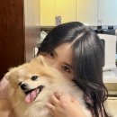인북로52길 네이버블로그