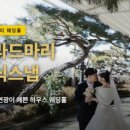 경기·인천 웨딩 준비 중이라면? 빌라드마리·삼산월드컨벤션·더아리엘 수원 스카이가든홀 최신 소식...