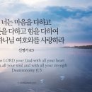 (주)쉐마이스라엘 이미지