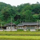 성진미화 티스토리