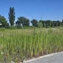 금호윤공인중개사사무소 이미지