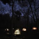 용인자연휴양림 야영장 이미지