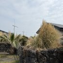 돌담민박 | [제주] 제주 돌담 감성 가득한 곳 <바람돌이하우스민박> 구좌읍 숙소 강추!