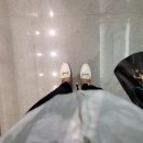 녹색로109