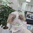 신월7동주민센터 이미지