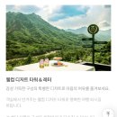 연출의 자유인 | 강원도 켄싱턴호텔 설악 빈티지 웨딩스냅 촬영후기 어바웃타임 패키지, 포토스팟, 소품 추천