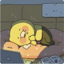 청출어람보습학원 | 먹는일기_슬러쉬사케_코스먹구름_대학원탈출일지_세기말풋사과보습학원_비트코인_공주떡_키세스_리꼴라