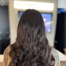 중앙 애견 미용실 이미지