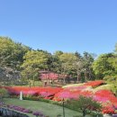 수진사 | 남양주 수진사 달님과 꽃님 정원 다녀온 후기/ 남양주 수진사 철쭉 숨은 명소 추천/ 천마산 소풍하기...