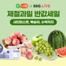 뭉치니 이미지