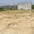 파라다이스민박 이미지