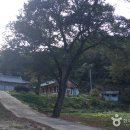 신봉고가하부 체육시설 | [전라북도 임실군] 임실N펫스타