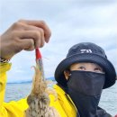 손길낚시