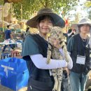 가파보건진료소 이미지