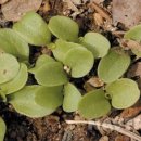 창원농약사 이미지