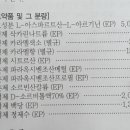 정문큰약국 이미지