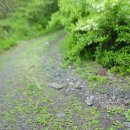 평창송어횟집 이미지