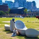 뚝섬한강공원-49 이미지