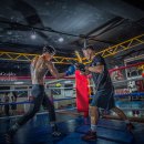 프라임복싱클럽 이미지