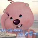 청계동솔바람야영장 이미지