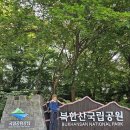 북한산 산성계곡~삼천사계곡 산행후기 2024.8.14.수. (1) 이미지