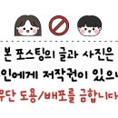 김해애견호텔 강아지유치원 맘바이 김해점 이미지