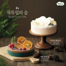 나뚜루 - 여수시 박람회길 56 | 나뚜루