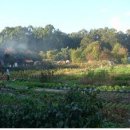 고읍농장 이미지