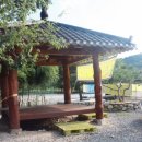 코끼리 관광농원 이미지