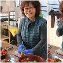 노산농장 이미지