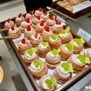 31140-14-37-48 | 강원도 강릉 벚꽃 개화 현황 시기 신라 모노그램 강릉 조식 리틀모노그램 키즈클럽