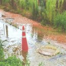 전주만성초등학교 이미지