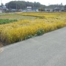 운교1 경로당 이미지