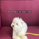 모아신통공인중개사사무소 이미지