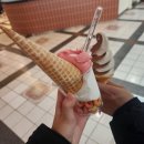 (주)씨투디게임즈 | [16주차] 부끄럼 많은 생애를 보냈습니다.