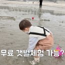 그늘막118 | 영종도 마시안 갯벌체험 무료 가능? 물때표, 준비물, 주차 꿀팁 총정리