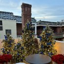 황금향어 | 2024 부산여행 (L7해운대 숙박/부산불꽃축제/금송덕미/해리단길/황금향어/후기)