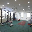 텐텐휘트니스 Daum카페