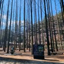 장태산휴양림 이미지