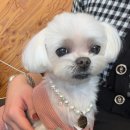 해피오브트리밍 이미지