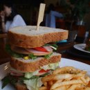 슬로우가든 이미지