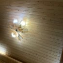 조신옆골 | 신흑동 머드남