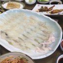 울진회직송 이미지